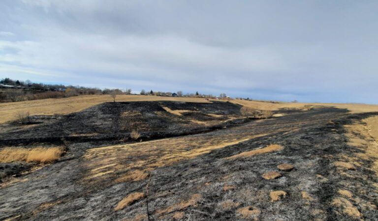 Incendiu la vegetație uscată, cu posibilitatea propagării la o gospodărie