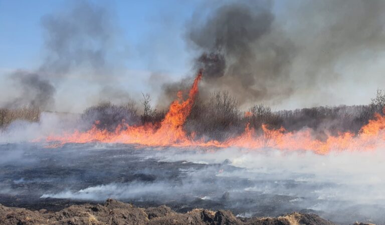 Județul Neamț, plin de incendii de vegetaţie uscată