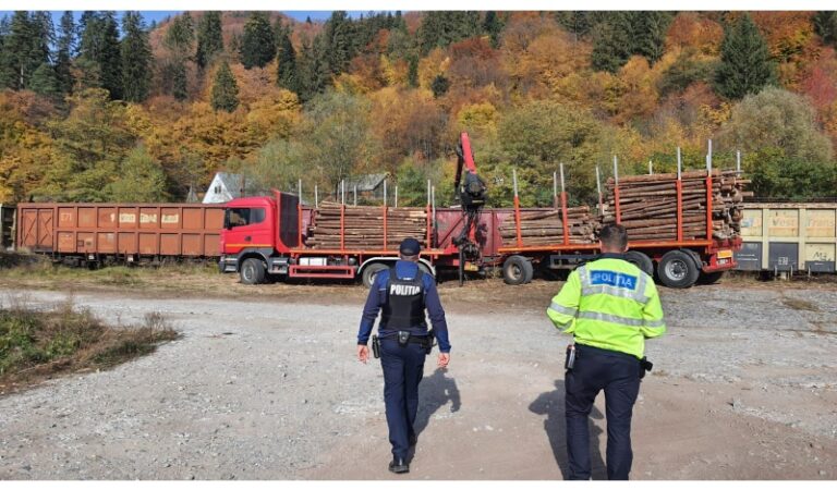 Au început controalele privind ilegalitatea transporturilor de lemne
