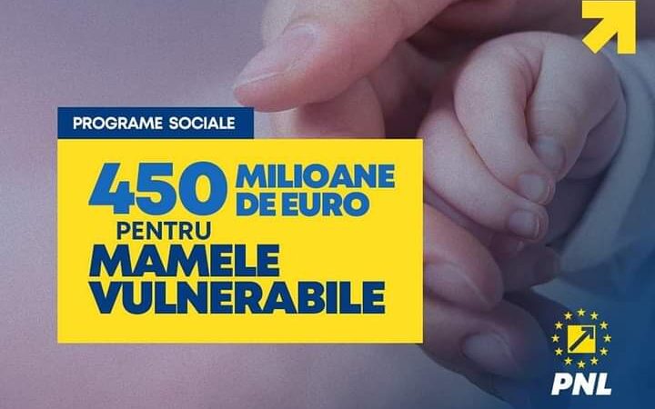 Milioane de euro pentru familii monoparentale sau pentru nou-născuți