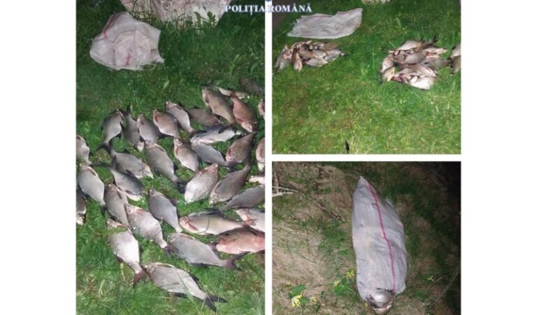 Dosar penal pentru săvârșirea braconajului piscicol