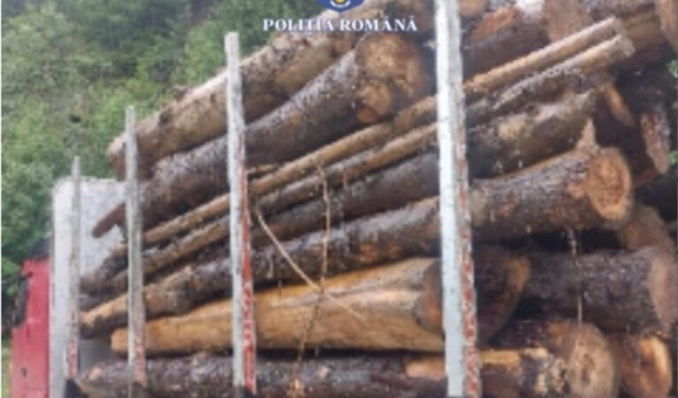 Material lemnos confiscat de polițiști