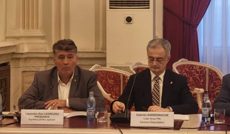 Laurențiu Leoreanu, deputat: „Pensiile militarilor – o prioritate!”