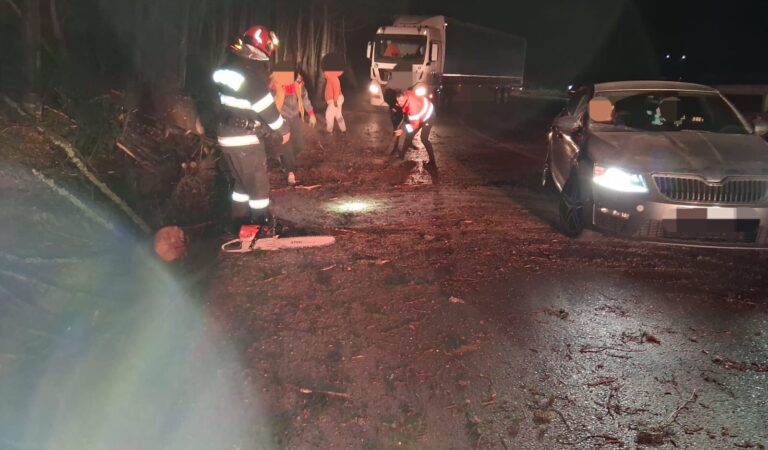 Circulație blocată după prăbușirea unui arbore pe șosea